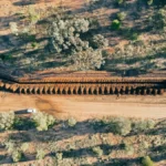 Drain pipe installed in a gravel trench