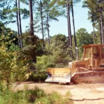Bulldozer clearing brush in a wooded lot