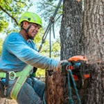 Worker cutting down a tree with a chainsaw